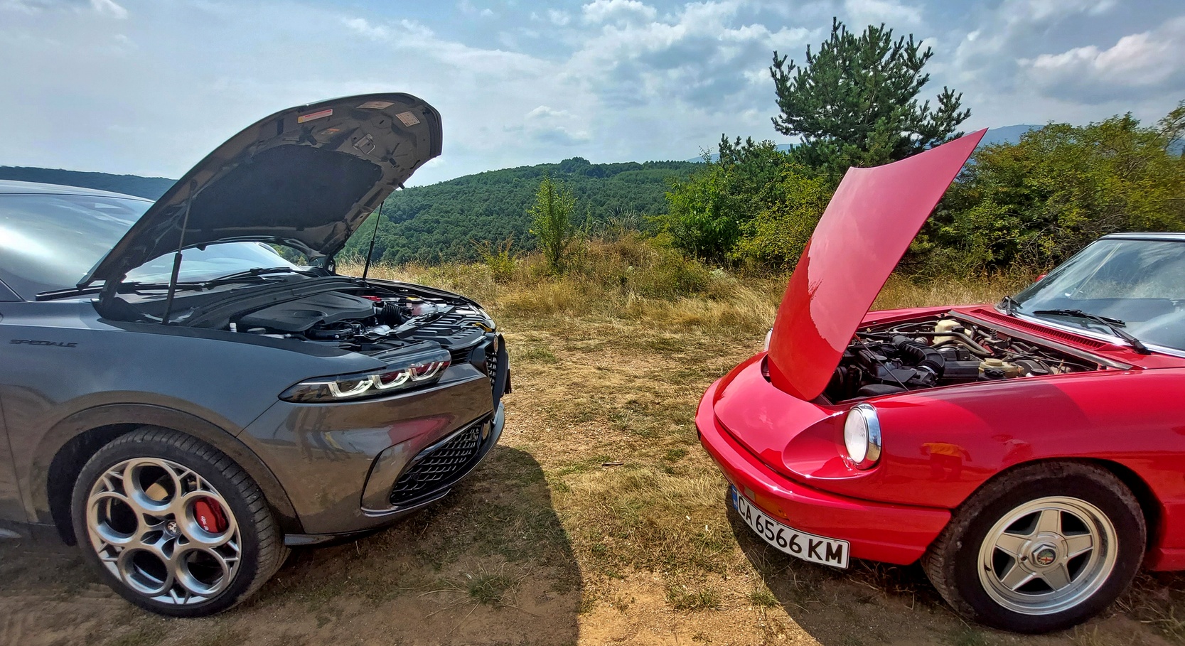 Караме Alfa Romeo Tonale