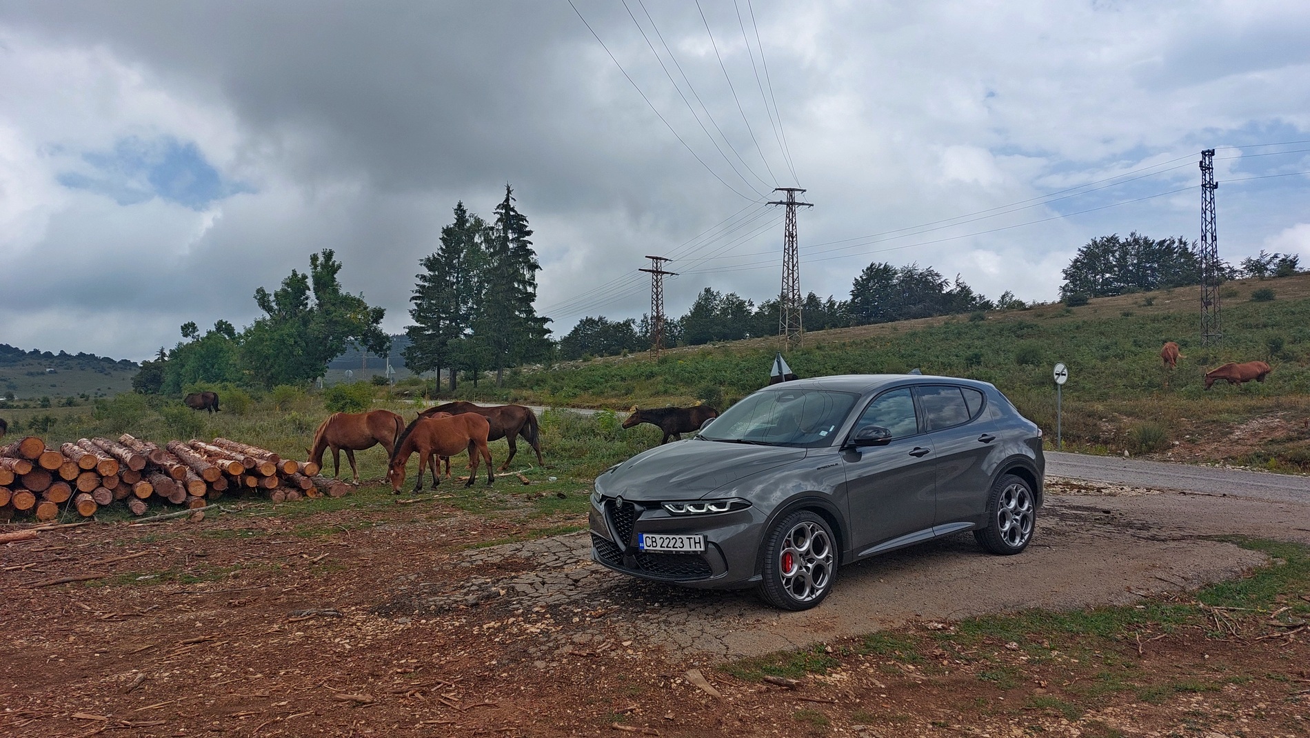 Караме Alfa Romeo Tonale