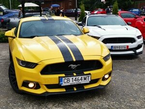 Среща на Ford Mustang събра над 50 американски тупалки