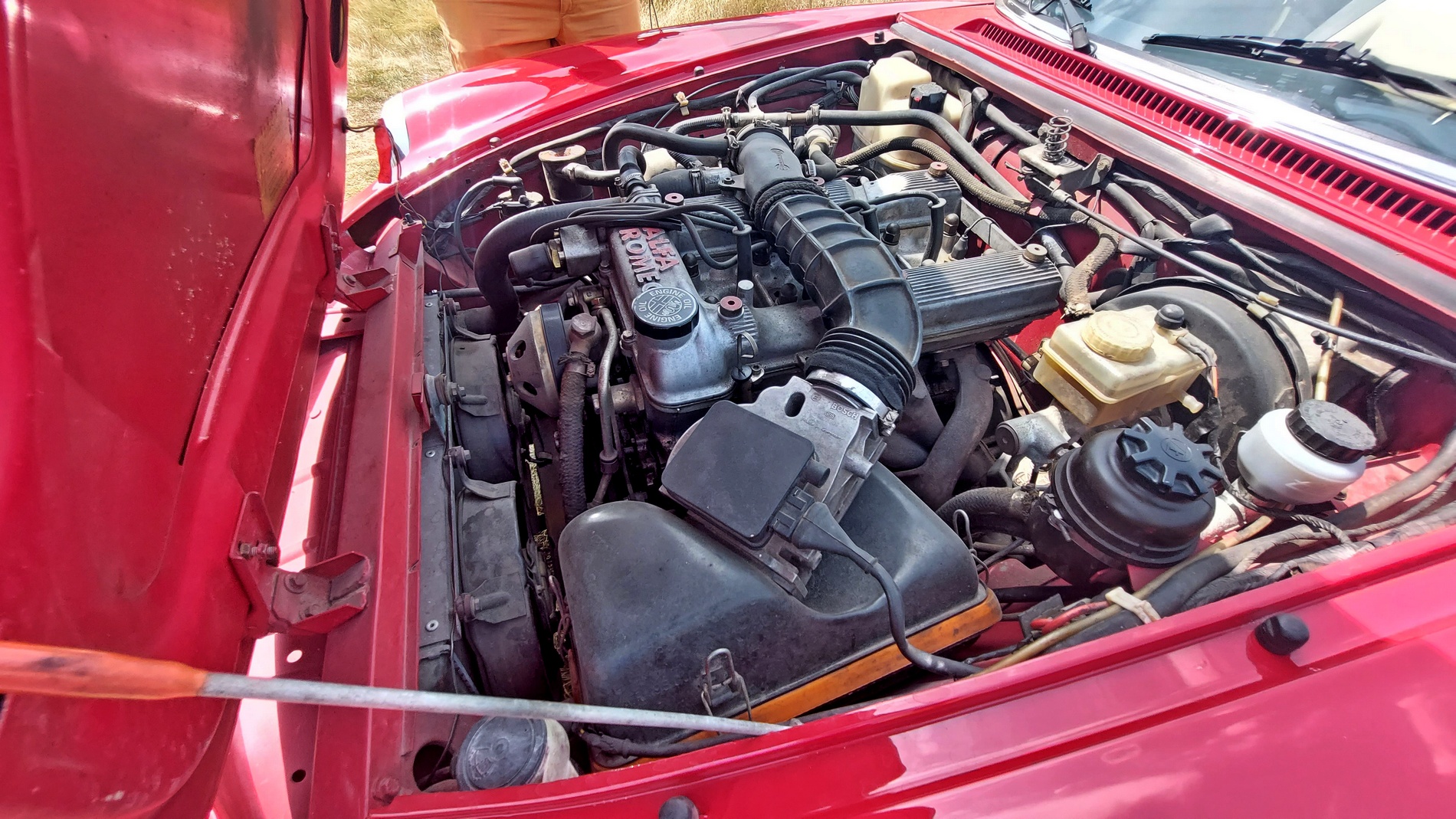 Караме Alfa Romeo Tonale